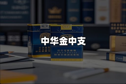 中华金中支